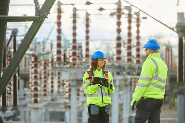 Best Electrician for Home Renovation  in La Plata, MD